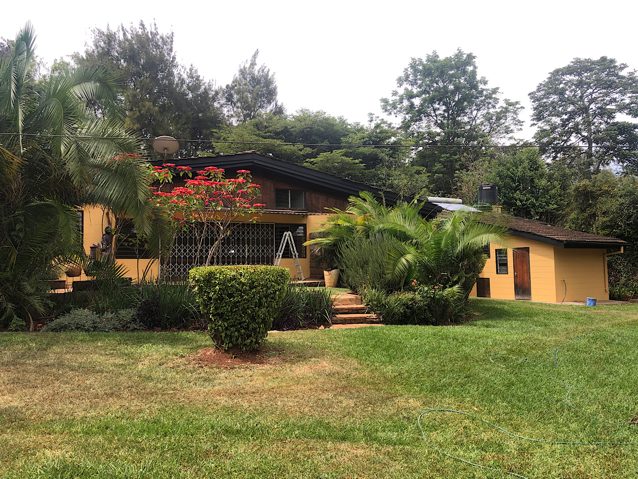 4 bedroom house for rent in karen wind ridge Diamond City Villas