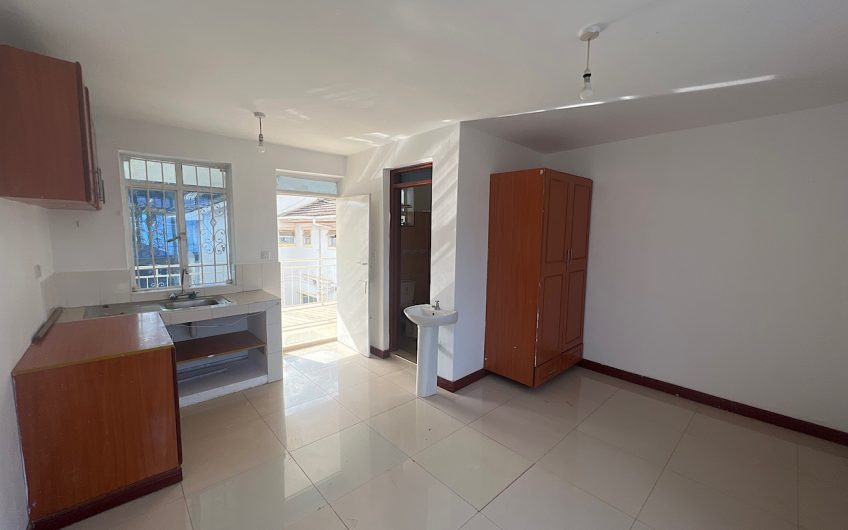 Bedsitter Luxurious Apartment for Rent in Nairobi Karen