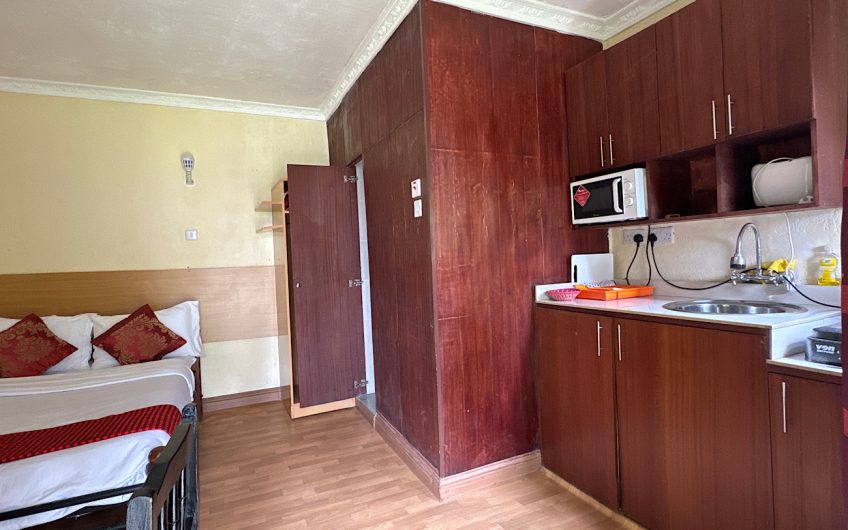 furnished Bedsitter/ Studio for rent in Nairobi, Karen