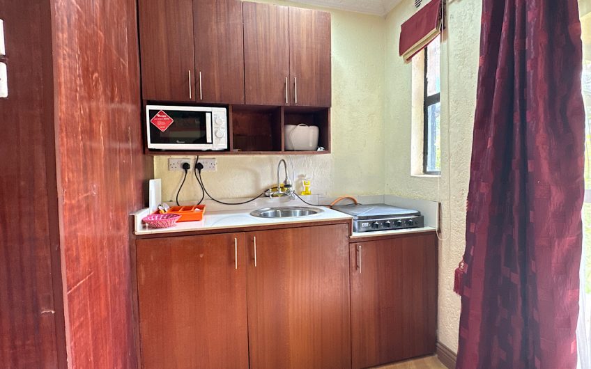 furnished Bedsitter/ Studio for rent in Nairobi, Karen