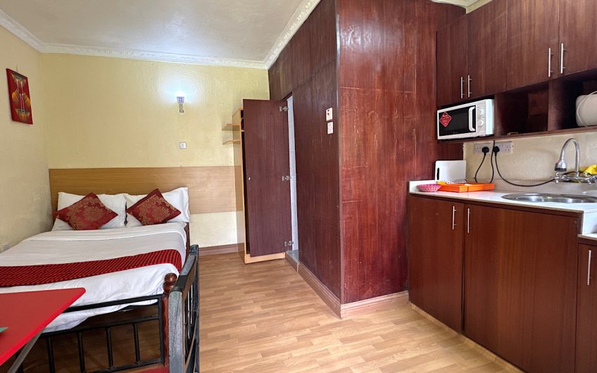 furnished Bedsitter/ Studio for rent in Nairobi, Karen