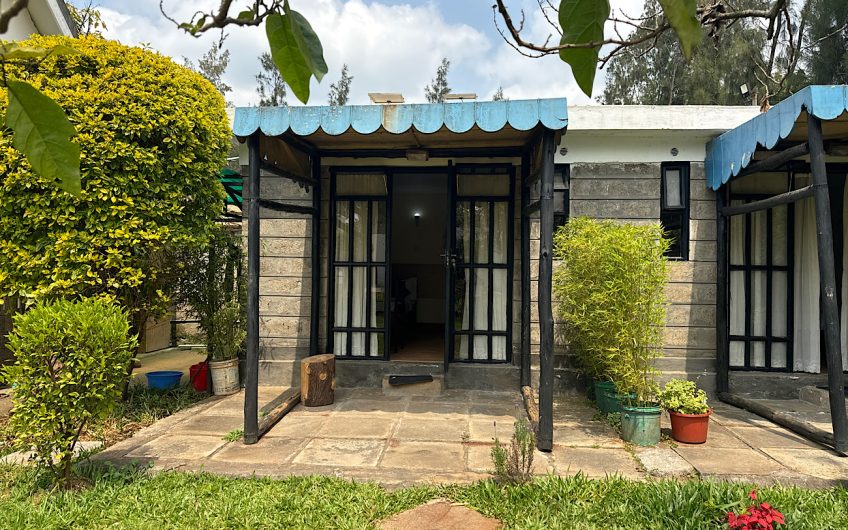 furnished Bedsitter/ Studio for rent in Nairobi, Karen