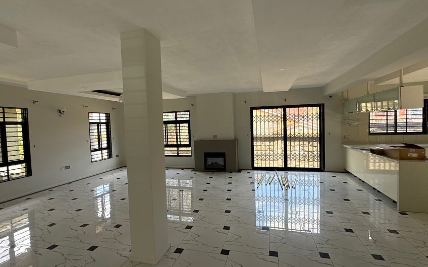 Executive 3 bedroom apartment for rent in Karen