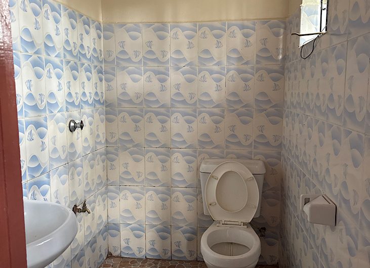 2 bedroom house for rent in Karen