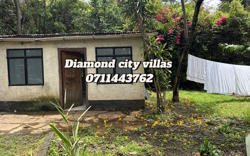 Office/ commercial space for rent in Karen