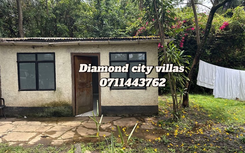 Office/ commercial space for rent in Karen