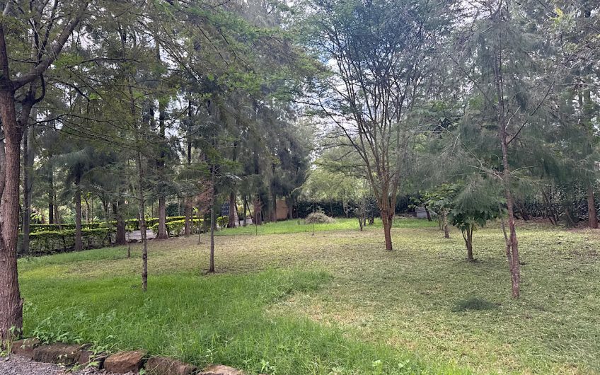Bedsitter/ studio house for rent at  Karen, Kenya
