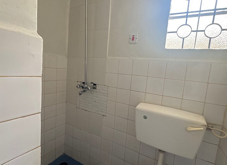 3 bedroom house plus DSQ for rent in Karen