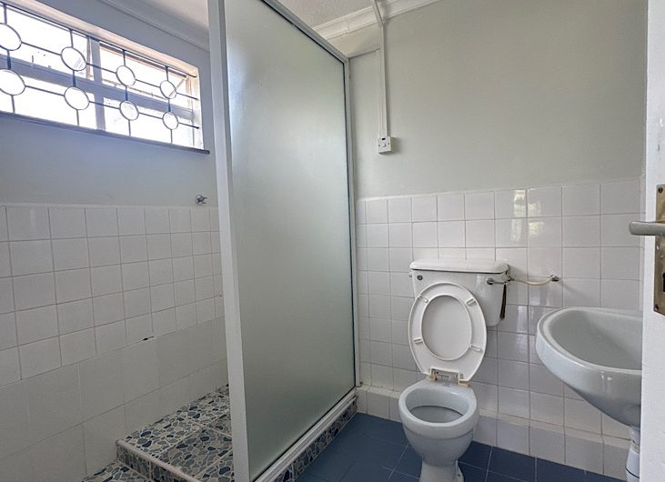 3 bedroom house plus DSQ for rent in Karen