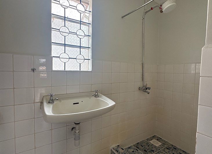 3 bedroom house plus DSQ for rent in Karen