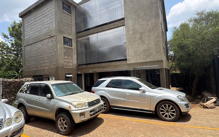 3 bedroom apartment for rent with DSQ in Karen