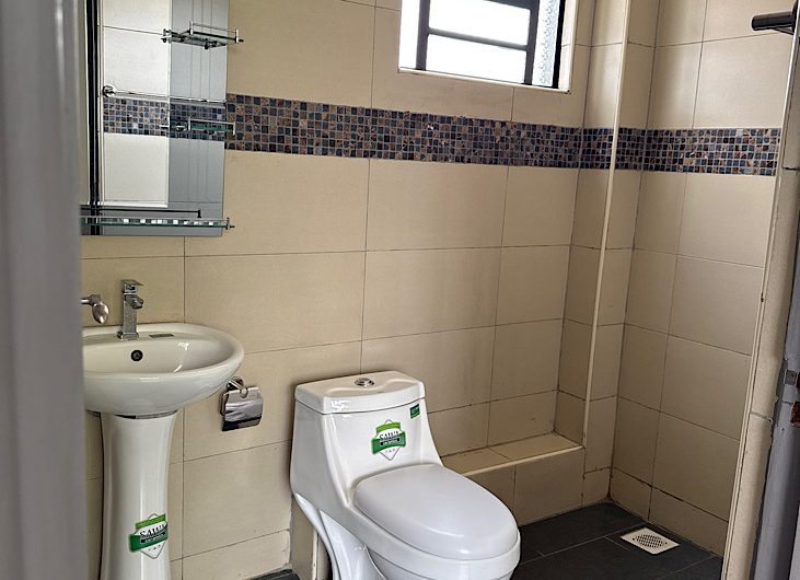 3 bedroom apartment for rent with DSQ in Karen