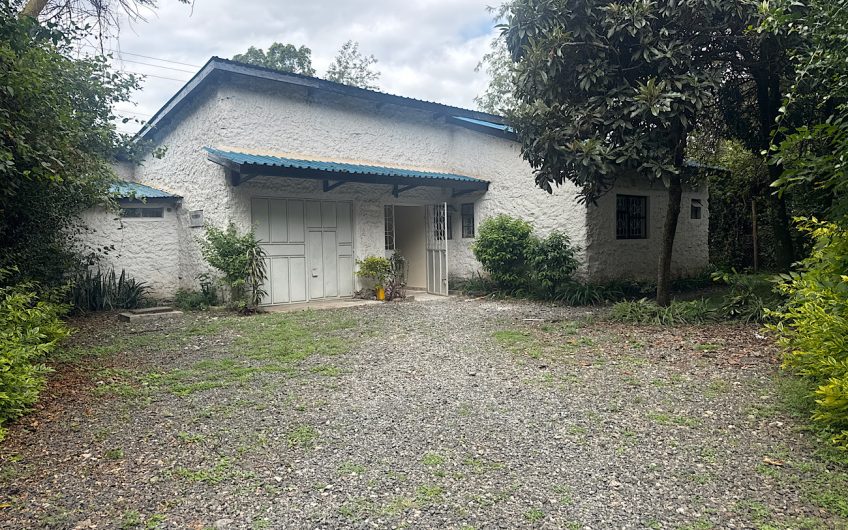 3 bedroom house for rent at Karen