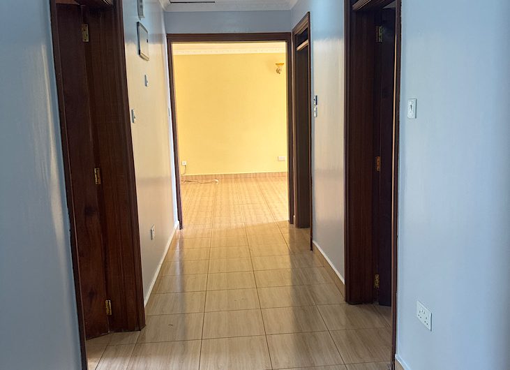 3 Bedroom House For Rent in Karen with DSQ
