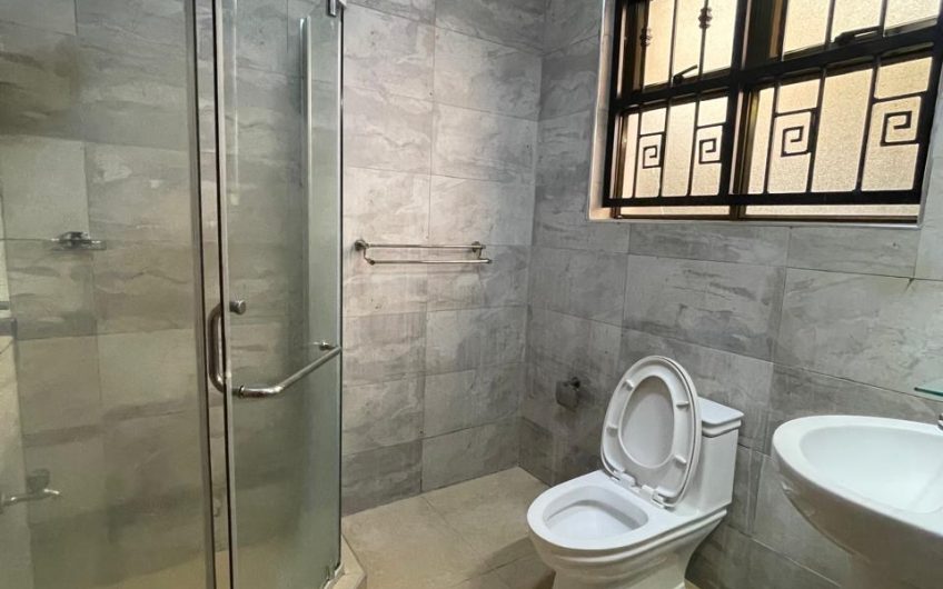 Executive 3 bedroom house with DSQ in Karen for Rent