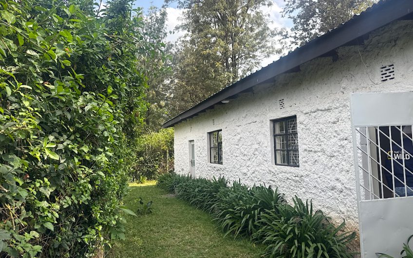 Charming 3 bedroom house for rent with DSQ