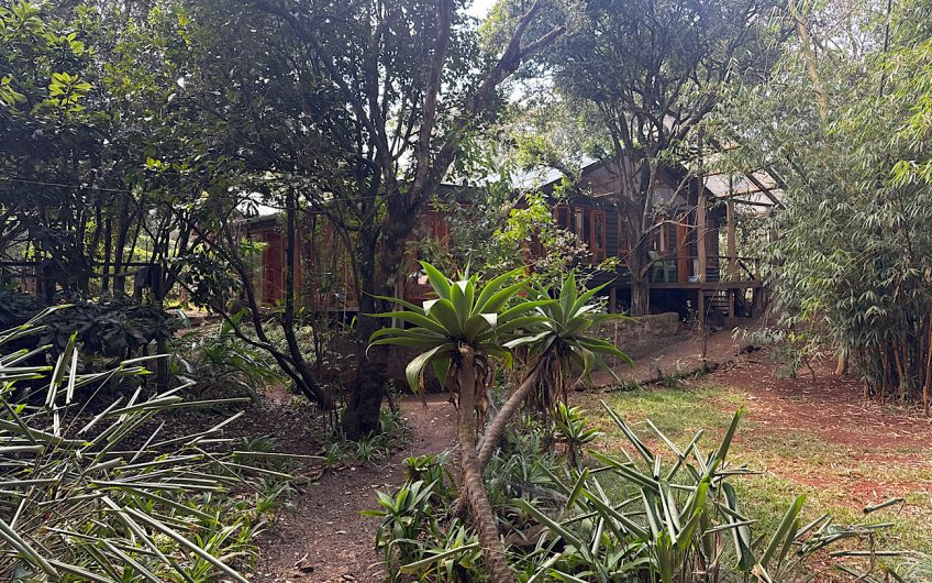 FOR RENT – 2-Bedroom Wooden Cottage, Karen (Ololua Ridge)
