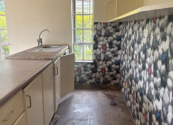 Live the Karen Lifestyle! 2-Bedroom House Only 65K!
