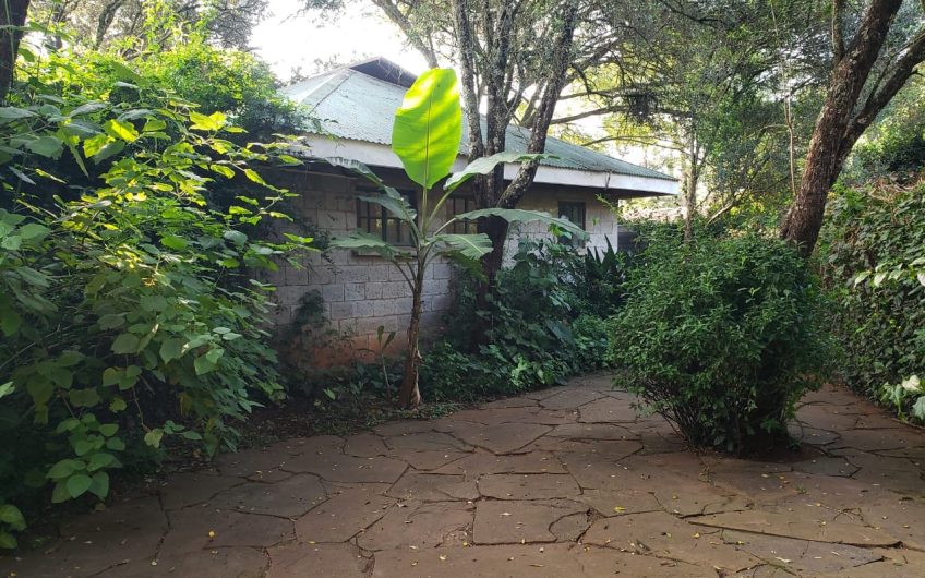 Luxury 2-Bedroom House for Rent in Karen on Half Acre Near Giraffe Centre – En-Suite, Spacious & Serene