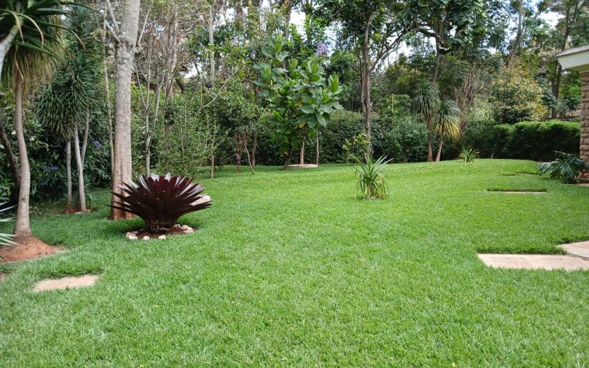 Luxury 4-Bedroom All-En-Suite Residence for Rent in Karen – Modern Living on Half an Acre