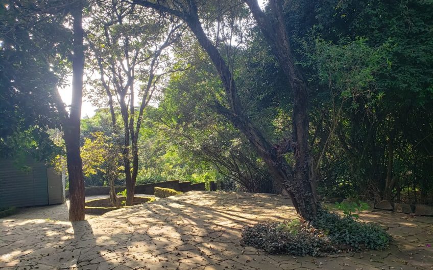 Luxury 2-Bedroom House for Rent in Karen on Half Acre Near Giraffe Centre – En-Suite, Spacious & Serene